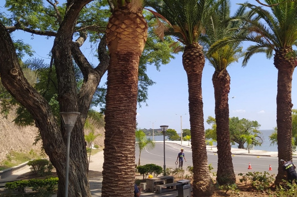 n julio comienza arbolado de Fray Bentos con financiamiento español