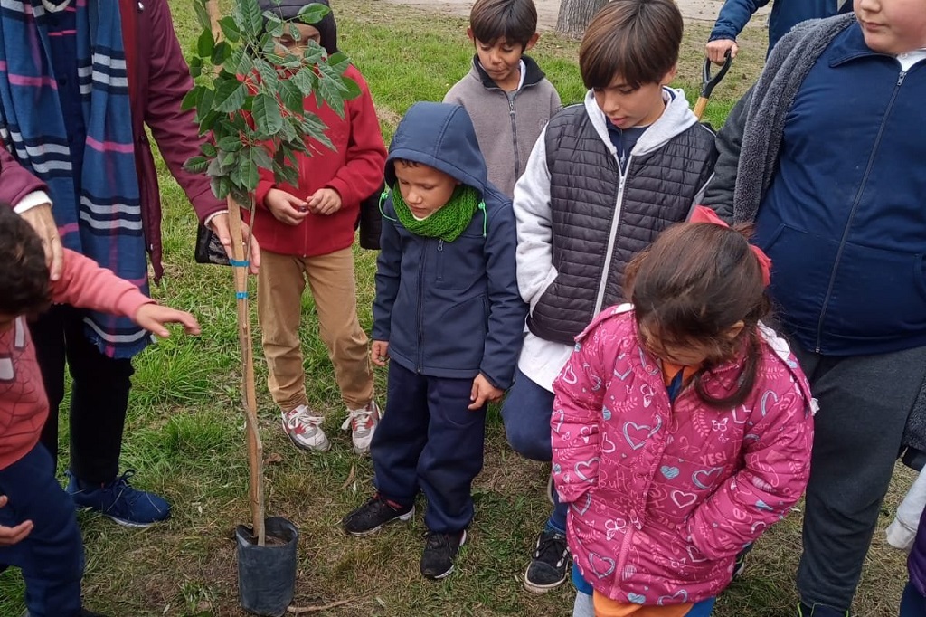 ArbolarGuale: La Escuela Nº10 Ernesto Bavio plantó cinco árboles