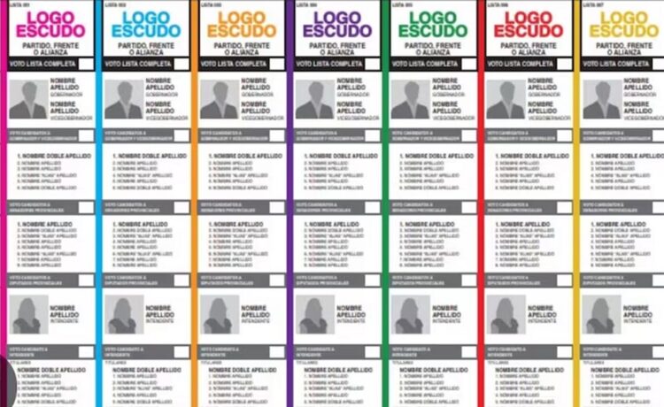 Reglamentaron la boleta única de papel a nivel nacional: aspectos clave a tener en cuenta