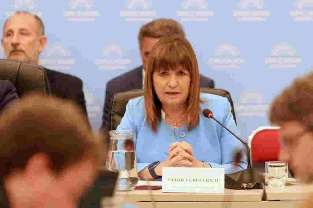 Patricia Bullrich denunció a exfuncionario por "traición a la Patria"