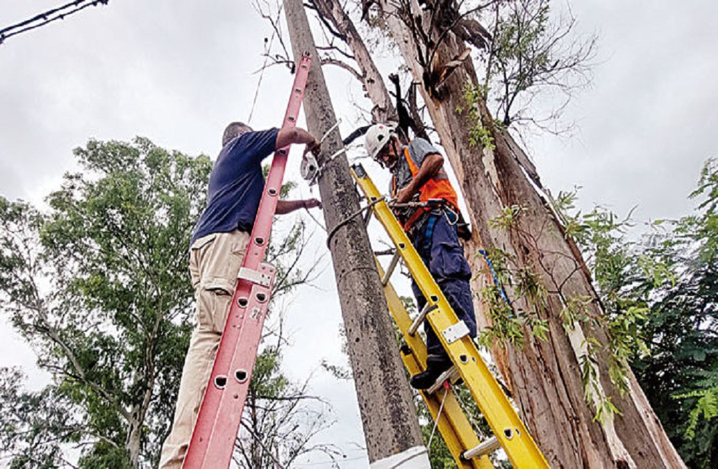 Colocan cámaras en el predio