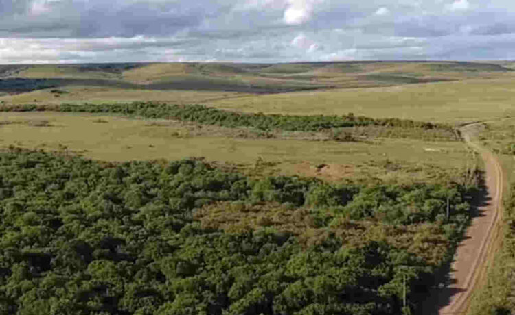 El gobierno destinará u$s 15M a la reparación de la caminería rural