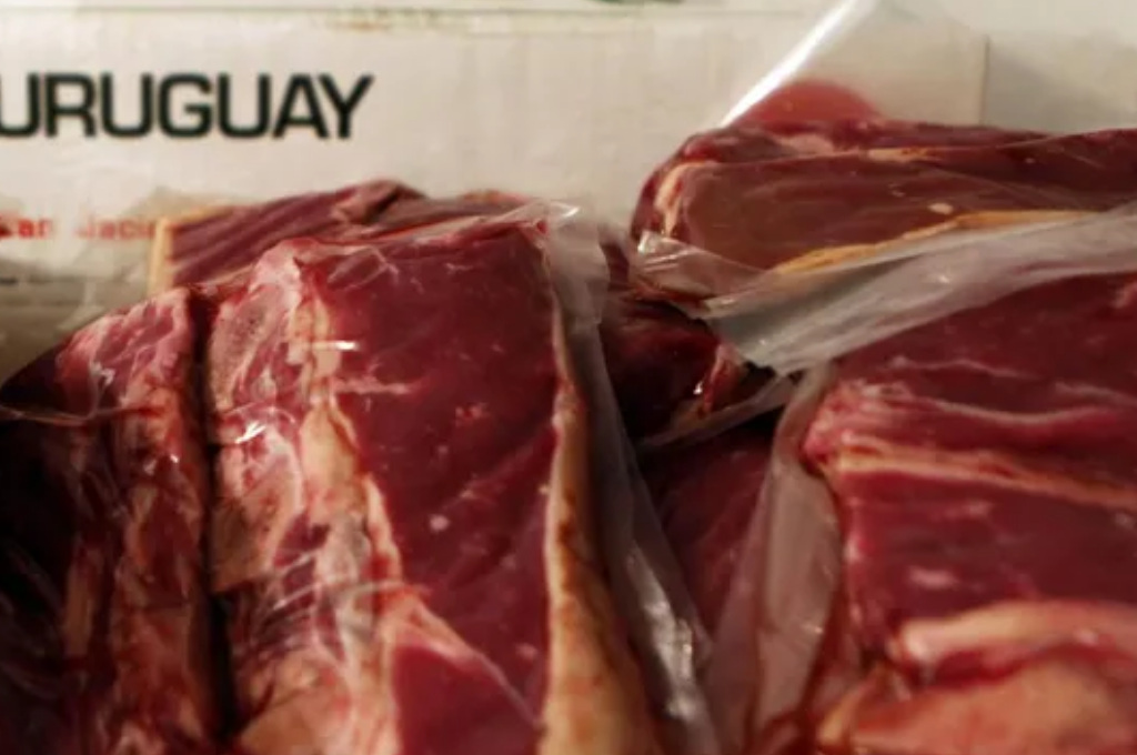 La Unión Europea lanzó una advertencia que compromete las exportaciones de carne equina