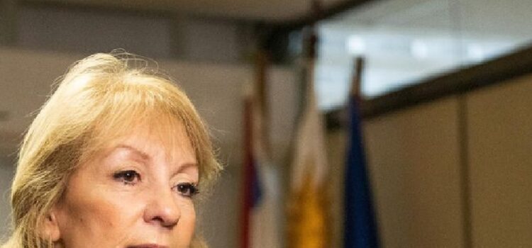 Cosse presentó su Plan País: propone acciones en salud mental, trabajo, seguridad y más
