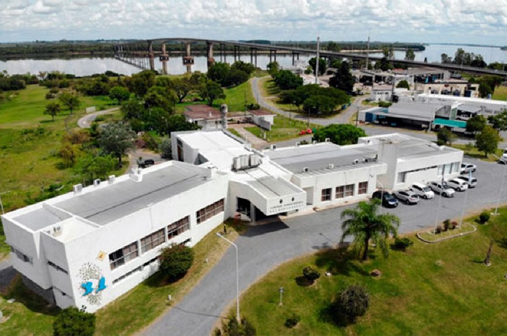 Auditoría interna en CARU: Tras despedir a 4 cajeros por irregularidades, revisarán “registros fílmicos” de dos puentes internacionales