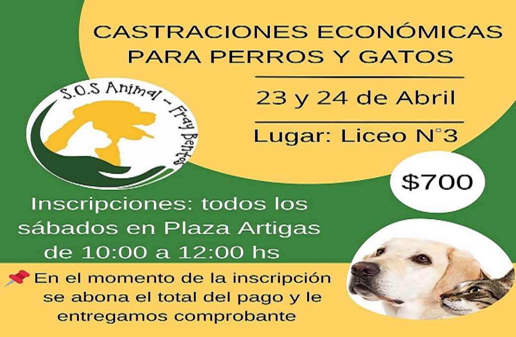 castraciones en Fray Bentos