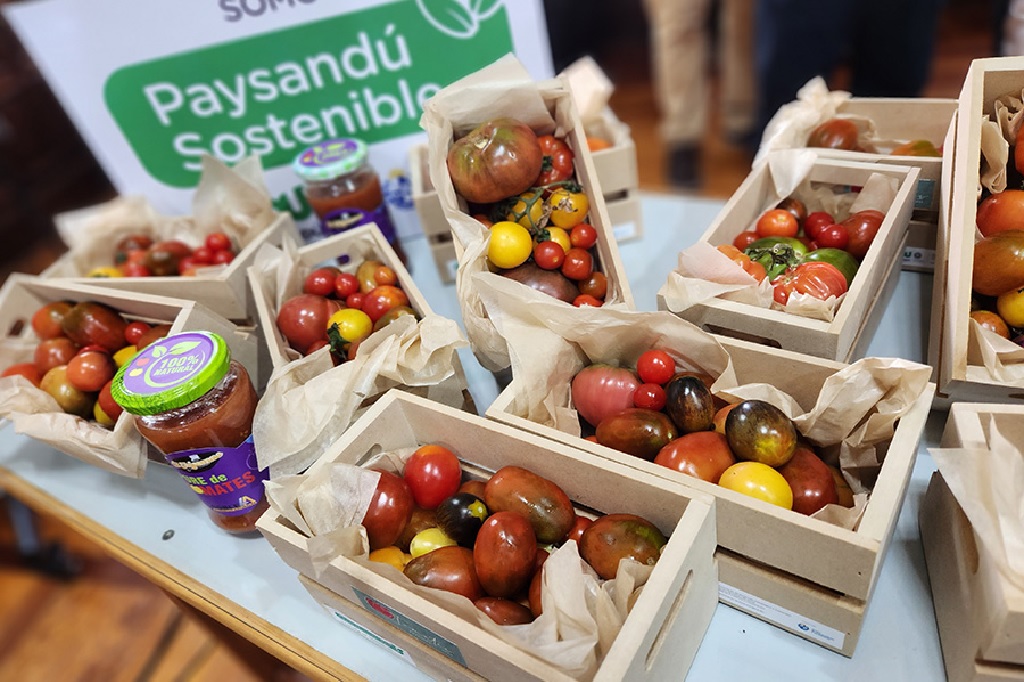 “Los invitamos a disfrutar y a compartir de la fiesta de los sentidos”, dijo el Intendente Nicolás Olivera