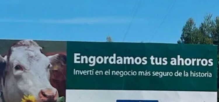 Los ahorristas de las empresas de inversiones ganaderas deberán verificar sus créditos para poder cobrar