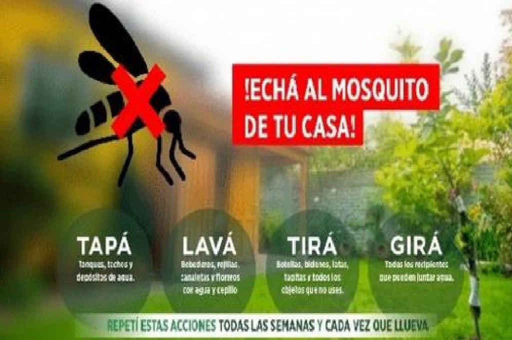 Gualeguaychú: Se confirmó un caso de Dengue importado en la ciudad