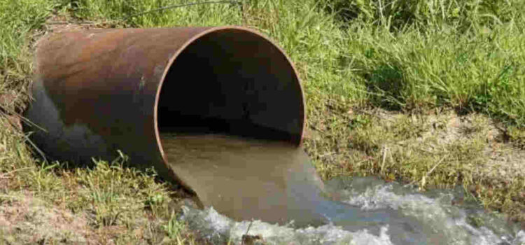 El Ministerio de Ambiente instó a aprobar la ley de delitos ambientales