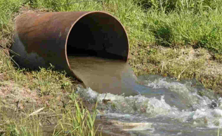 El Ministerio de Ambiente instó a aprobar la ley de delitos ambientales