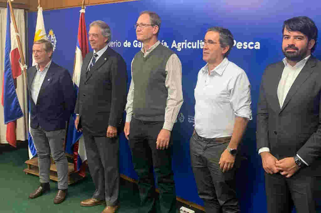 Brasil, Paraguay, Uruguay y Argentina anunciaron la creación de CoopSUR