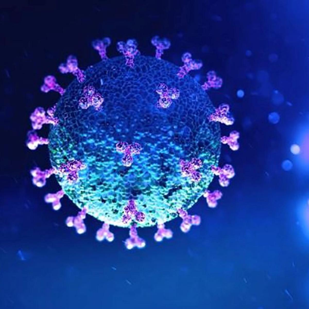 Coronavirus