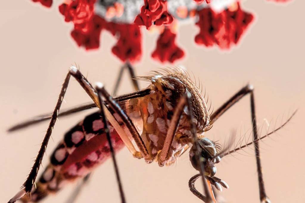 Inaugurarán un laboratorio para mejorar el control de dengue