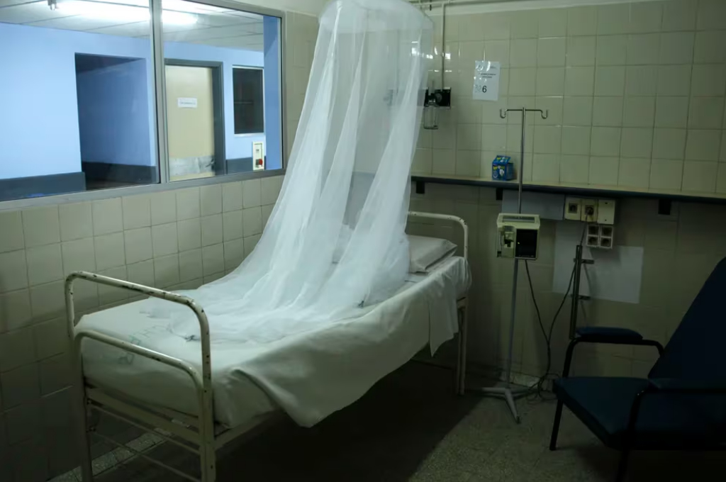 Confirmaron el segundo caso de dengue autóctono en Uruguay