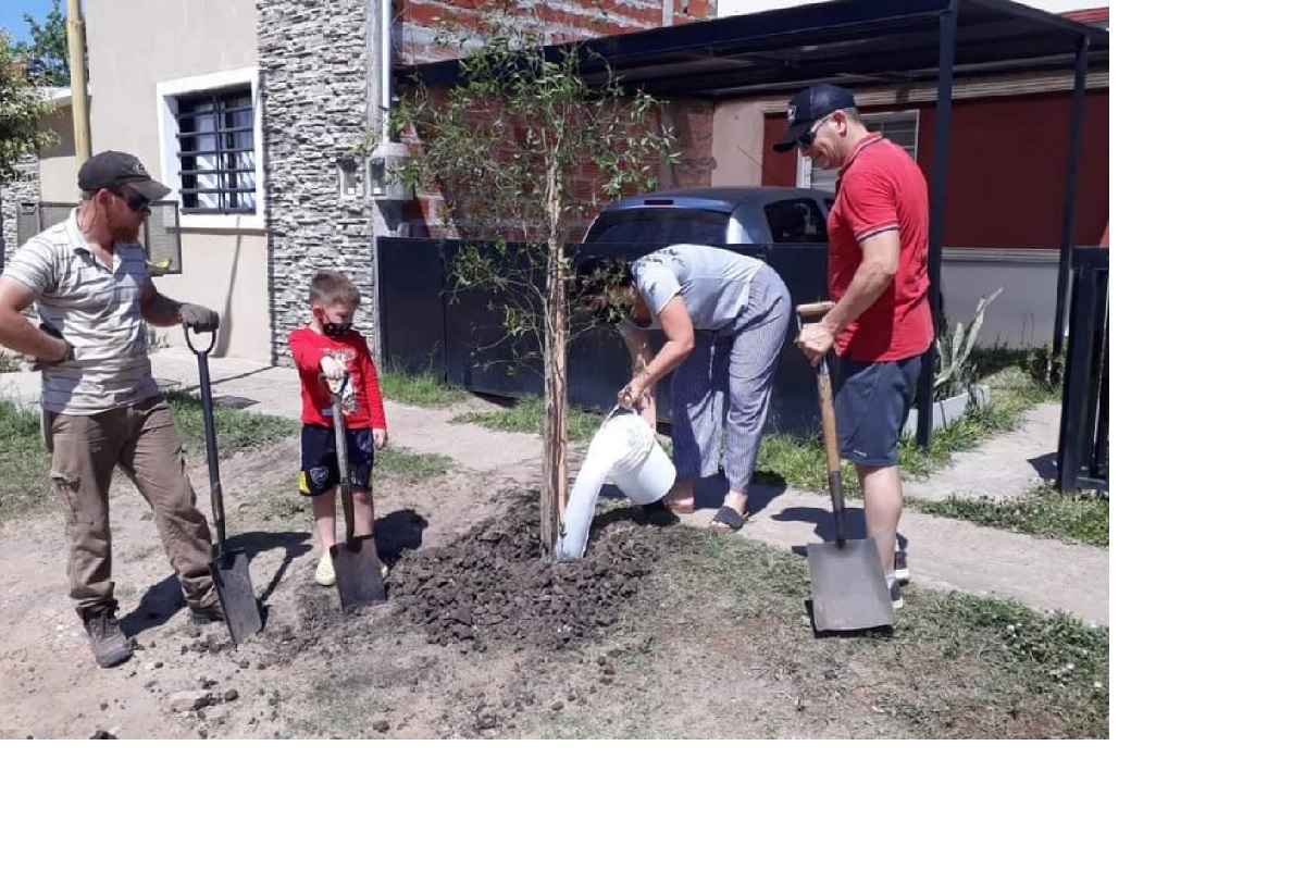 Día Mundial del Árbol: Concurso para los vecinos de Gualeguaychú