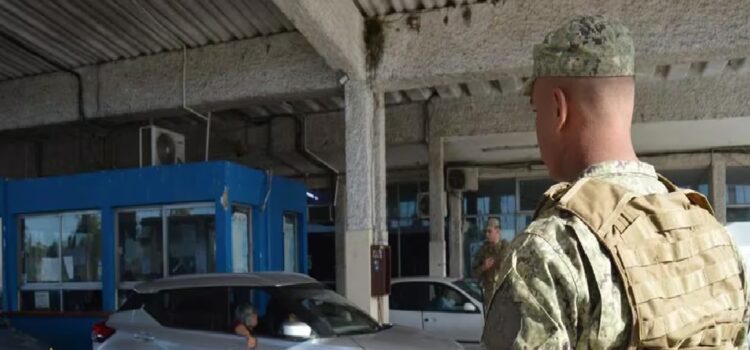 Preocupa en Uruguay el contrabando de animales desde Argentina: los turistas los esconden en condiciones deplorables