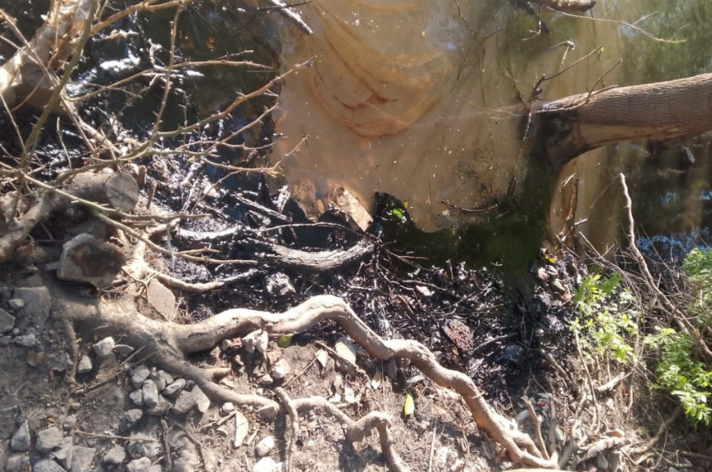 Desde la Municipalidad alertaron sobre un derrame intencional de fueloil en el río Gualeguaychú