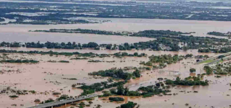 Brasil autorizará la importación de arroz desde Uruguay por la inundación