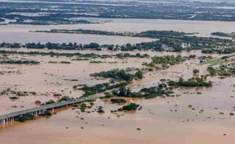 Brasil autorizará la importación de arroz desde Uruguay por la inundación