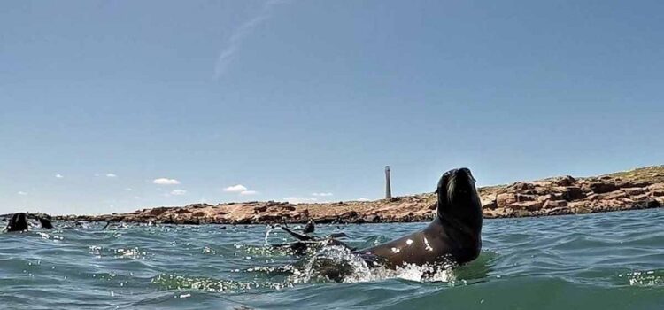 Antía enojado por protección ambiental a Isla de Lobos: Quería explotarla turísticamente