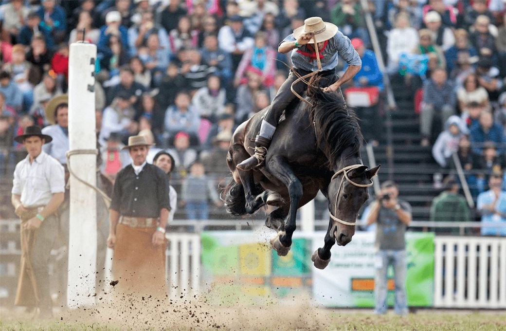 acciones conjuntas Canelones Rio Negro