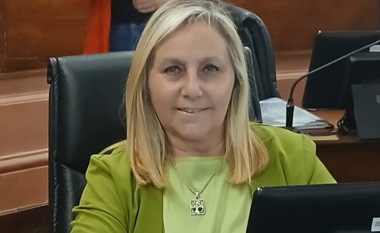 Calleros: “La ruta 20 es un problema de años pero que requiere urgentes soluciones”