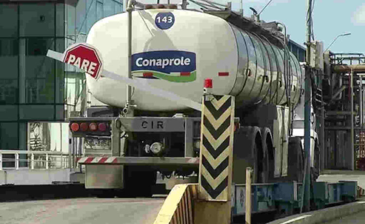 Bajan las exportaciones de leche en polvo un 8% en Uruguay