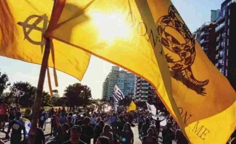 Orsi no cree que en Uruguay sea posible un fenómeno "libertario"