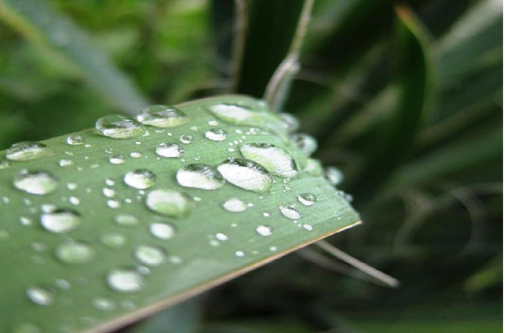 La región de la cuenca del Santa Lucía recibió entre 40 y 45 mm de agua, según José Serra
