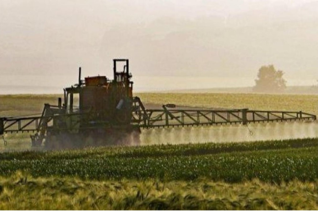 Dictaron medidas de pruebas por la escuela fumigada en Gualeguay