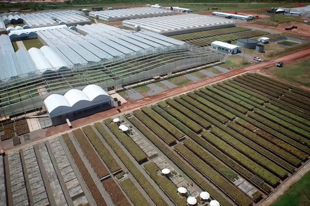 Montes del Plata solicita encargado de vivero para Fray Bentos