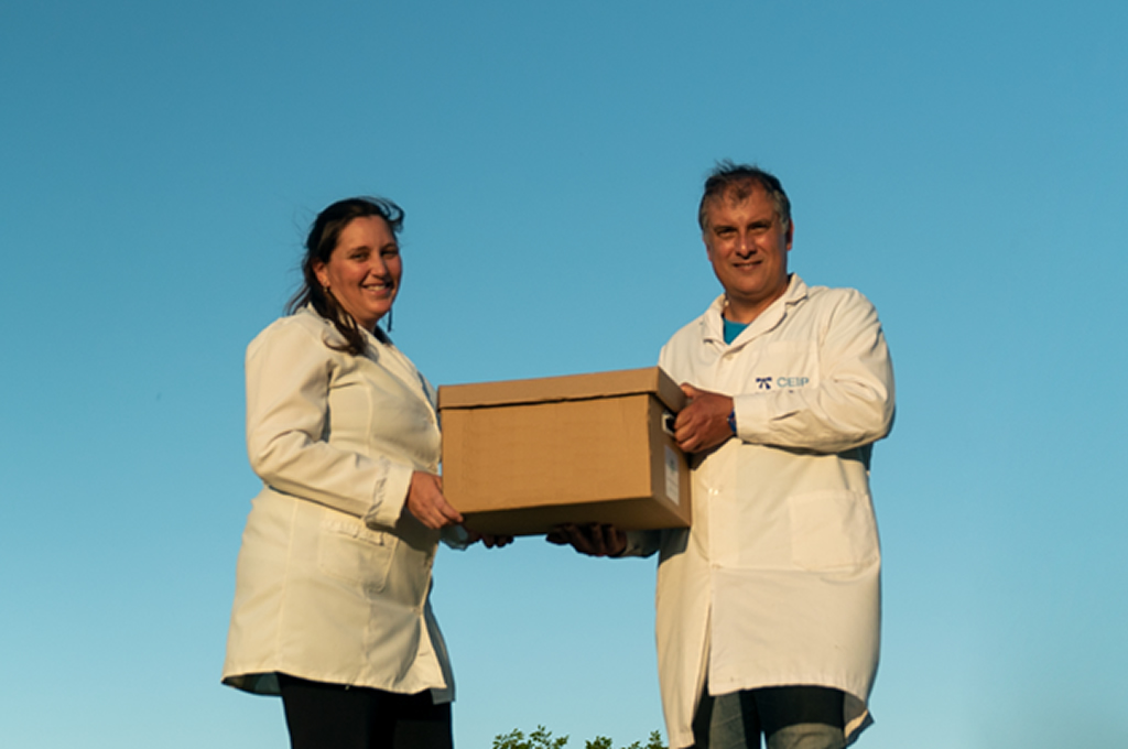 Convocatoria de becas de Fundación UPM para educadores en de Río Negro