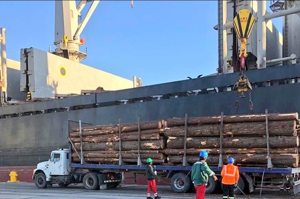Llegaría un barco para la operativa de madera al puerto local