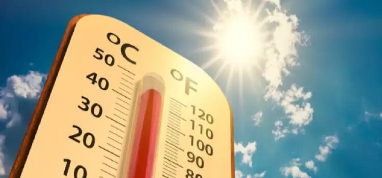 Ola de calor extrema: récord de demanda energética y consejos para el uso responsable