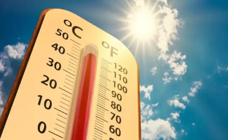 Ola de calor extrema: récord de demanda energética y consejos para el uso responsable
