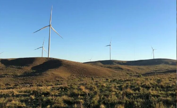 El parque eólico Valentines de UTE repartirá dividendos por u$s 1,8M entre sus accionistas