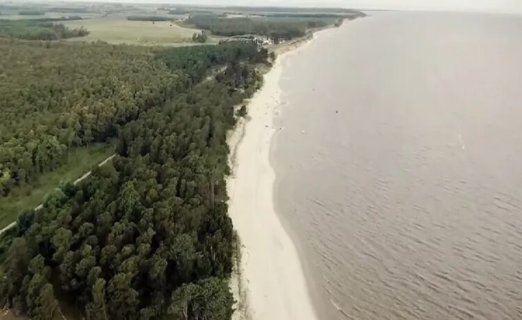 Proyecto Arazatí: las empresas se muestran abiertas a "analizar cambios" y descartan riesgo ambiental