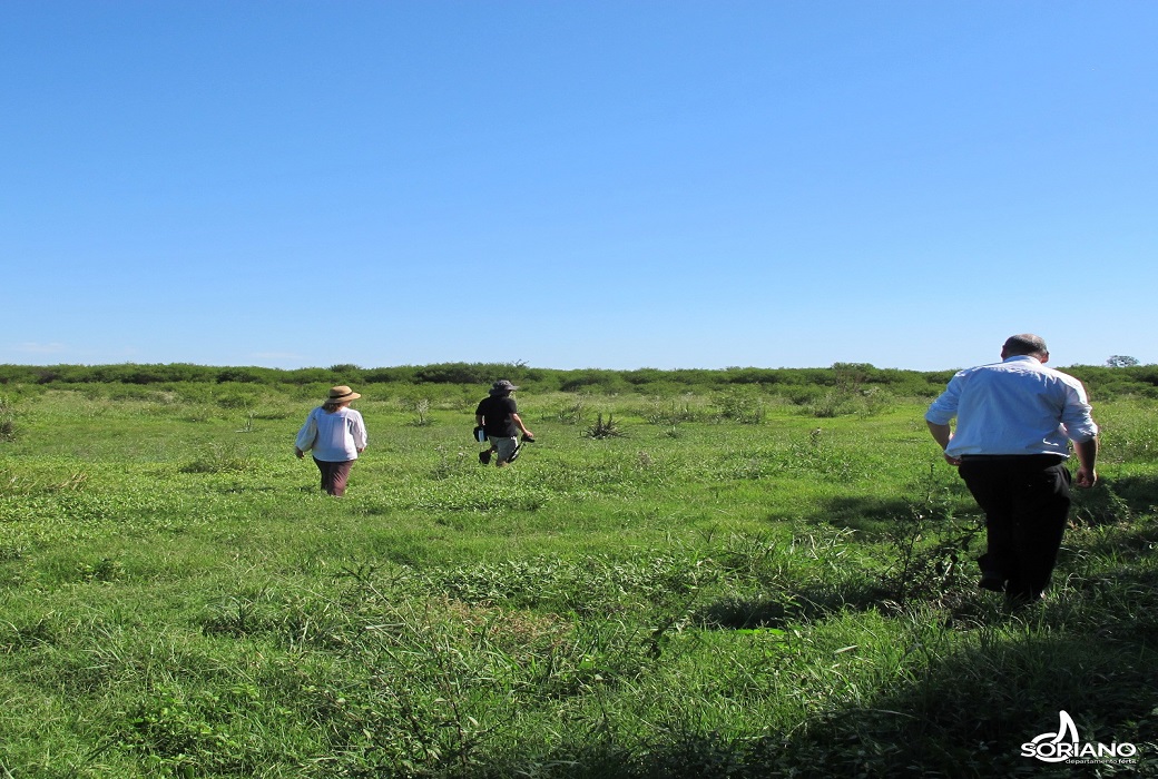 pruebas acusticas en soriano