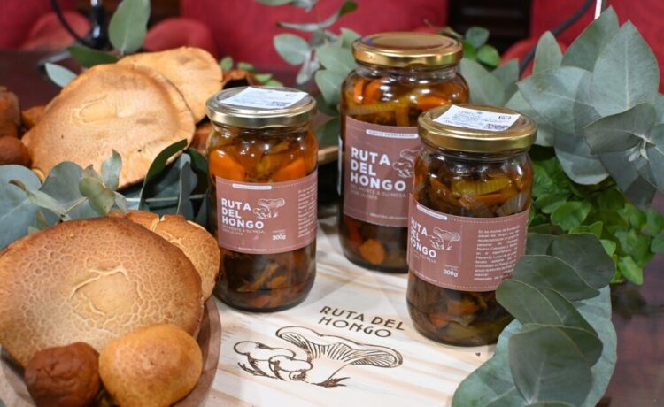 n el marco de la Ruta del Hongo, se realizará el Encuentro del Mundo Fungi