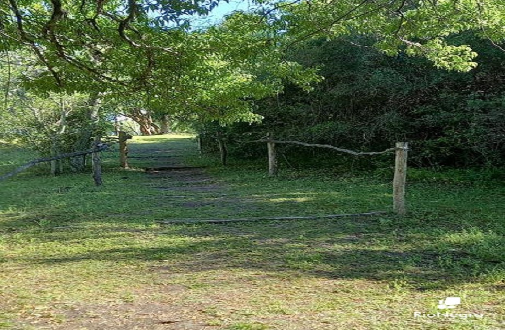 flora y fauna Fray Bentos