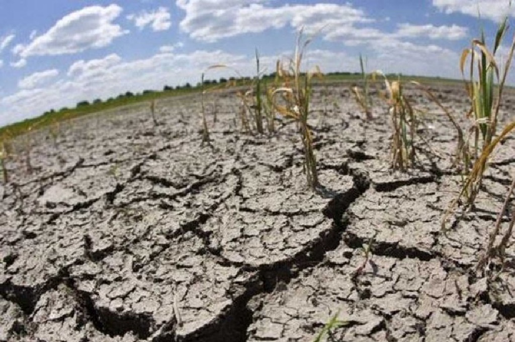 “Infierno climático”: desde Entre Ríos sostienen que es hora “que reaccione la política argentina” y tome medidas