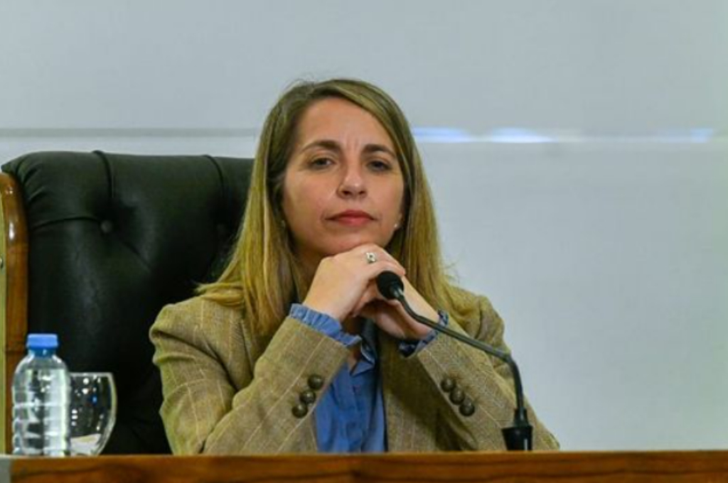 Stratta denunció a Hein por “violencia institucional contra la mujer”