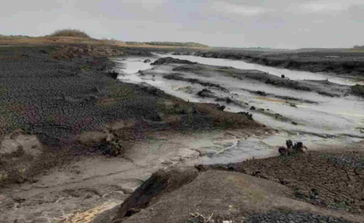 Advierten que La Niña podría afectar cultivos clave