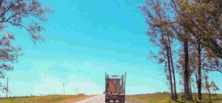 Los costos del transporte cayeron 0,9% en el trimestre en Uruguay