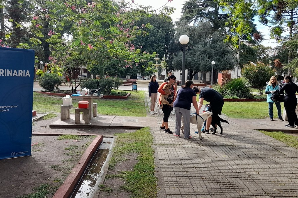 Campaña Municipal de Vacunación Antirrábica: más de 30 mascotas ya fueron vacunadas