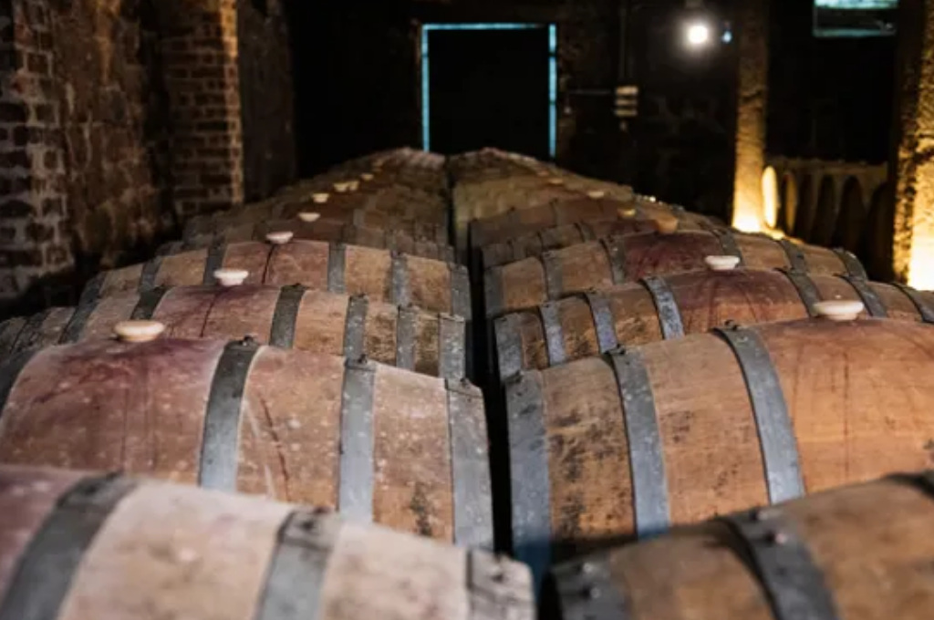 Uruguay esta a un paso de producir vino sin alcohol