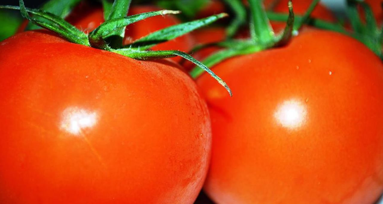 Paysandú celebra la segunda edición de la Cata Nacional de tomates